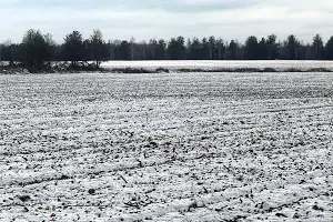 ділянка за адресою с. Майданівка, 