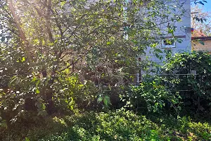 будинок за адресою Центральна