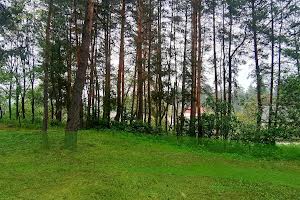 участок по адресу Мрія