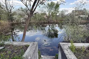 дом по адресу центрально-садова