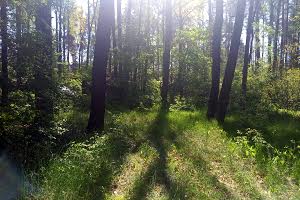 участок по адресу с. Лебедевка, 