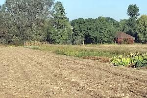 участок по адресу с. Микуличи, Яковенка