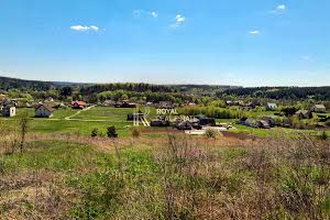 ділянка за адресою с. Великі Дмитровичі, 