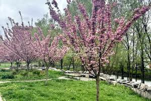 квартира за адресою Новоолександрівська вул., 54а к5