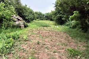 ділянка за адресою Новосілківська
