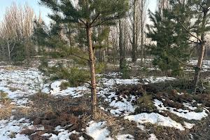 участок по адресу Васильківська, 22
