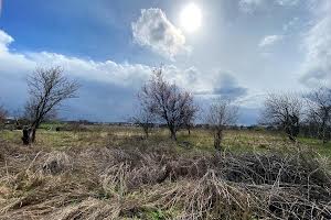 участок по адресу с. Михайловка-Рубежовка, Ворошилова