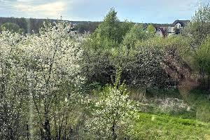 дом по адресу Шевченка, 6