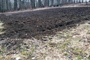 участок по адресу с. Караван, Станислава Шумицького, 17-б