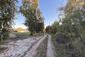 участок по адресу с. Требухов, Хмельницього