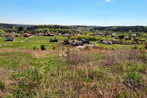 ділянка за адресою с. Великі Дмитровичі, 