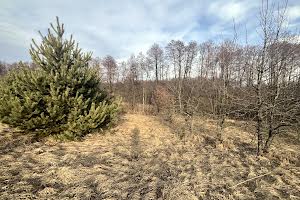 участок по адресу с. Музычи, Вільхова