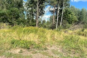 участок по адресу с. Майдановка, 