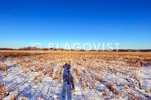 ділянка за адресою с. Копилів, 