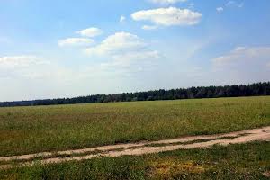 ділянка за адресою с. Грузьке, зарічна, 43в