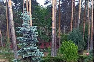 будинок за адресою смт. Гостомель, Бучанське шосе