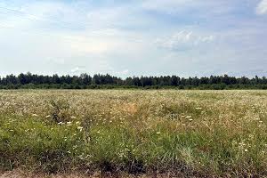 будинок за адресою с. Загальці, лінія