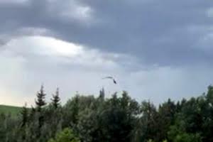 участок по адресу Луки Дубового