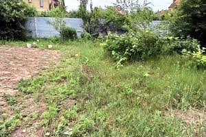 ділянка за адресою Новосілківська
