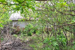 участок по адресу с. Ставы, Вишнева, 56