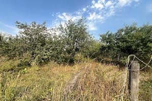 ділянка за адресою с. Хмільна, Кучерова, 96