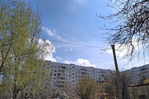 квартира за адресою Перемоги просп., 56