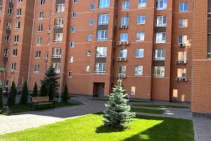квартира за адресою Миру просп., 2-К