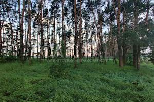 участок по адресу с. Рожев, 
