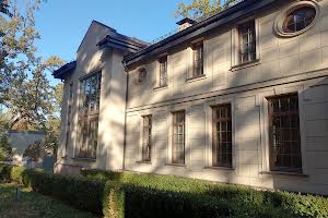 будинок за адресою Тячівський пров. (Тургенєва)