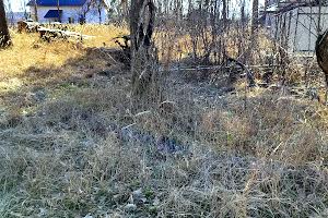 участок по адресу Луговая ул.