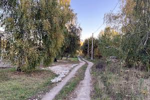 участок по адресу с. Требухов, Хмельницього