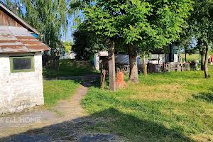ділянка за адресою Пилипа Орлика