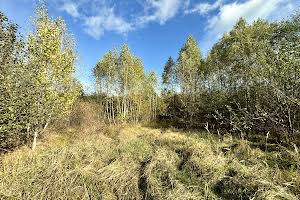 ділянка за адресою с. Здвижівка, Чубаря
