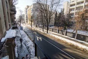 комерційна за адресою Шовковична вул., 21
