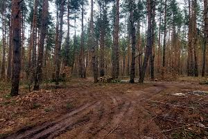 ділянка за адресою с. Мала Солтанівка, 