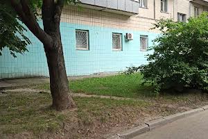 коммерческая по адресу Вишгородська ул., 38