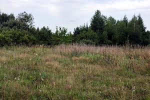 участок по адресу с. Дружня, Богдана Хмельницького, 38