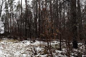 участок по адресу пгт. Ворзель, Котляревського, 53