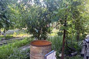 будинок за адресою с. Забуччя, Вишнева, 3