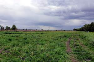 ділянка за адресою с. Великі Дмитровичі, 
