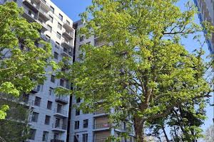 квартира за адресою Ванний пров., 5
