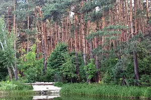 дом по адресу Садова