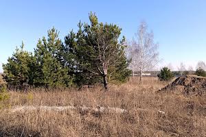 ділянка за адресою Каштанова