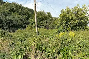 участок по адресу Підгірна