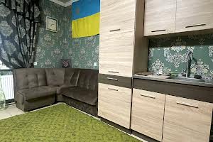 будинок за адресою Виноградна вул .