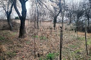 участок по адресу Зверинецкий пер., 4