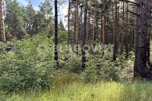 ділянка за адресою Броварський просп.