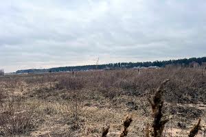 ділянка за адресою с. Михайлівка-Рубежівка, Наталії Ужвіст, 42
