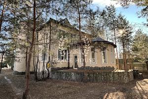 будинок за адресою с. Козин, Соловьяненко