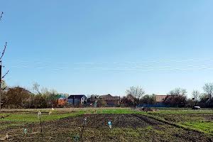 будинок за адресою Нова, 26